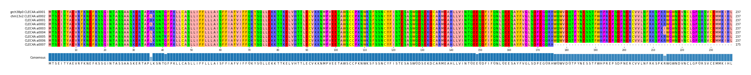 Multiple Alignments (by translate haplotype frequency)