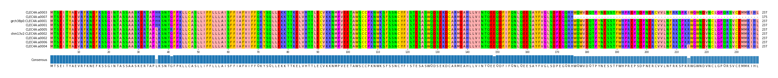 Multiple Alignments (by translate haplotype similarity)