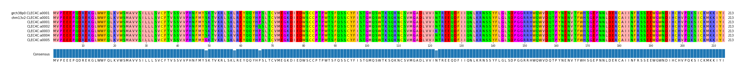 Multiple Alignments (by translate haplotype frequency)