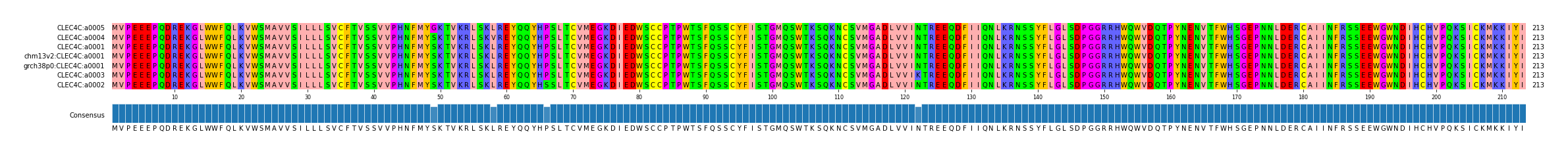 Multiple Alignments (by translate haplotype similarity)