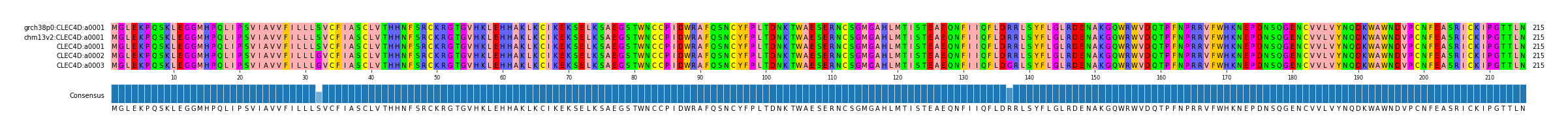 Multiple Alignments (by translate haplotype similarity)