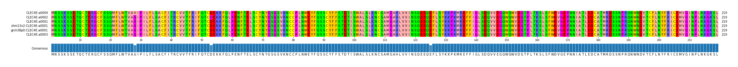 Multiple Alignments (by translate haplotype similarity)