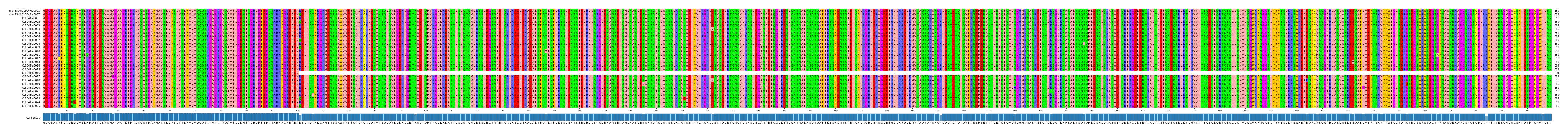 Multiple Alignments (by translate haplotype frequency)