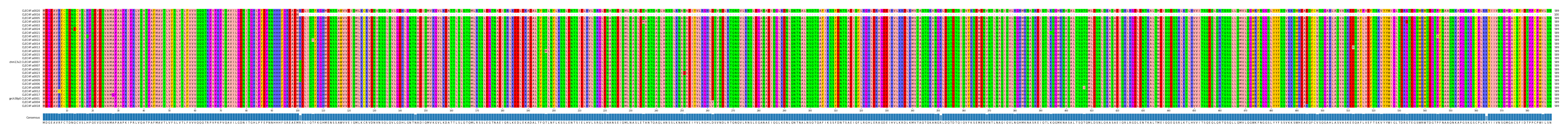 Multiple Alignments (by translate haplotype similarity)