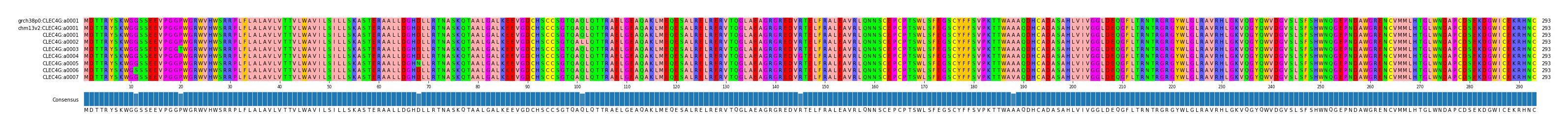 Multiple Alignments (by translate haplotype frequency)
