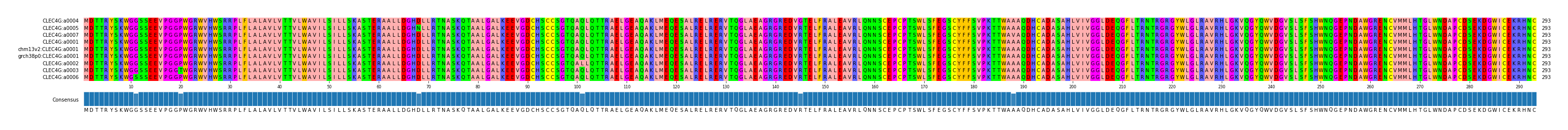 Multiple Alignments (by translate haplotype similarity)