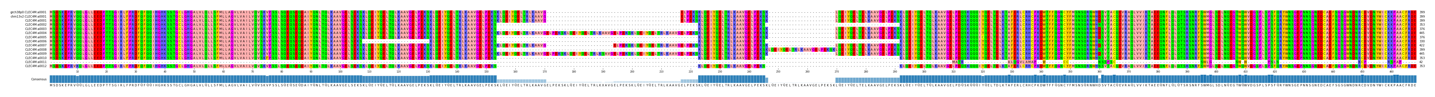 Multiple Alignments (by translate haplotype frequency)