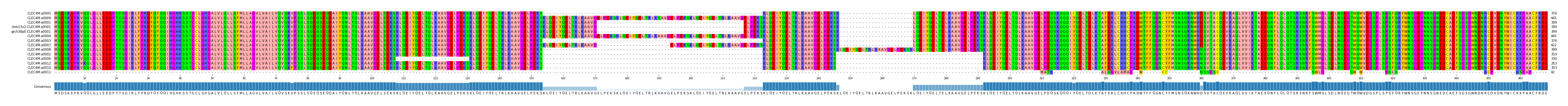 Multiple Alignments (by translate haplotype similarity)