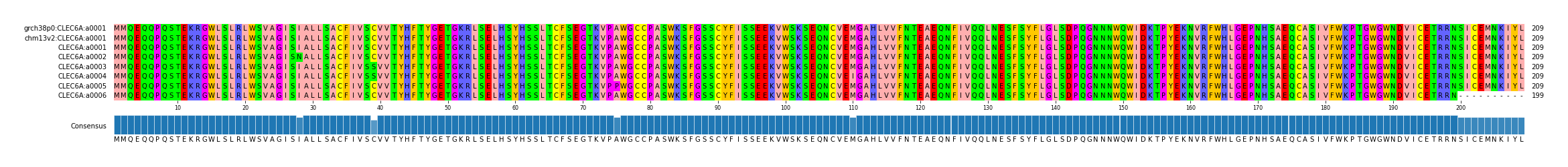 Multiple Alignments (by translate haplotype frequency)