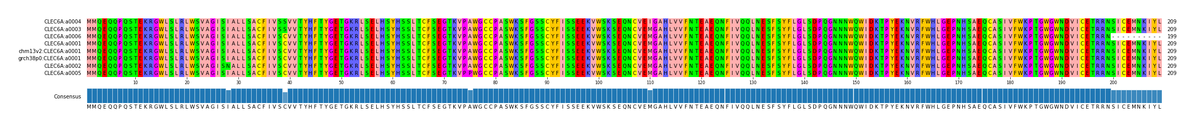 Multiple Alignments (by translate haplotype similarity)