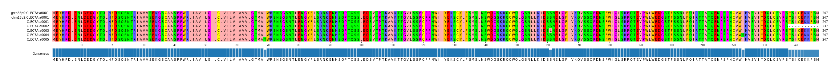 Multiple Alignments (by translate haplotype frequency)