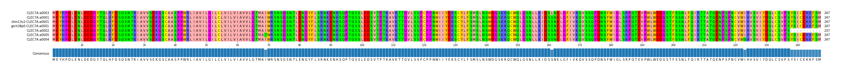 Multiple Alignments (by translate haplotype similarity)