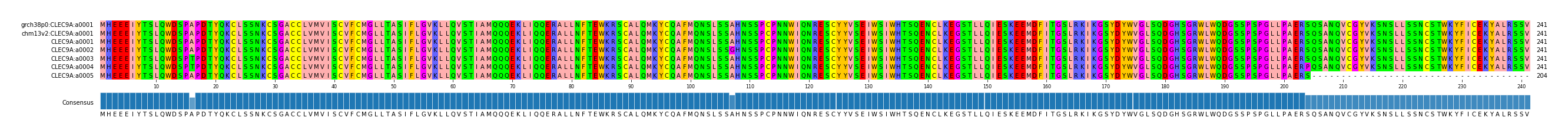 Multiple Alignments (by translate haplotype frequency)