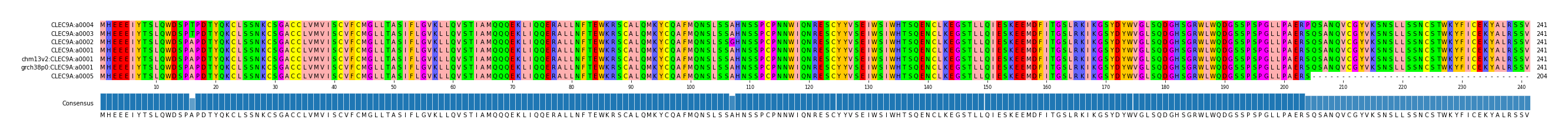 Multiple Alignments (by translate haplotype similarity)