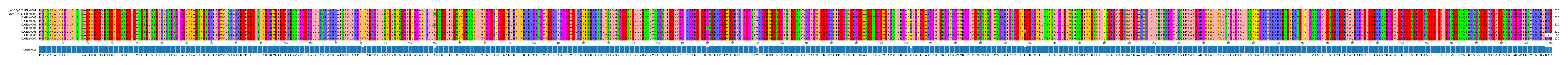 Multiple Alignments (by translate haplotype frequency)