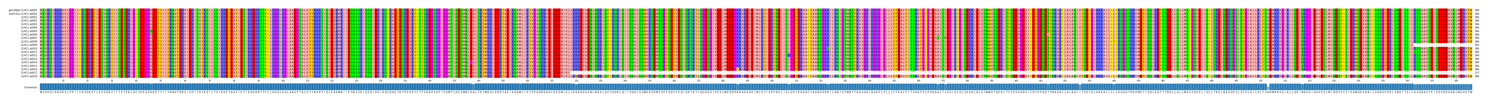 Multiple Alignments (by translate haplotype frequency)