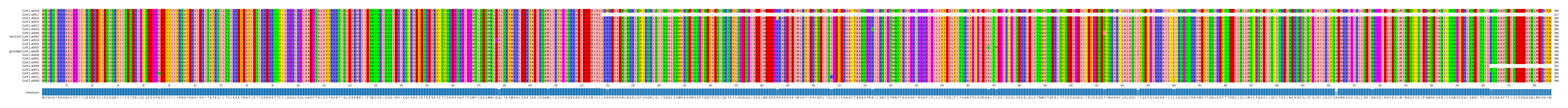 Multiple Alignments (by translate haplotype similarity)