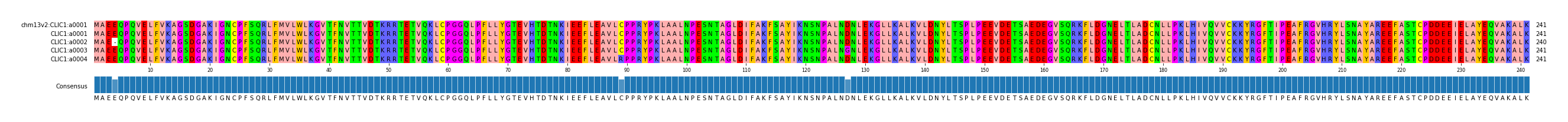 Multiple Alignments (by translate haplotype frequency)