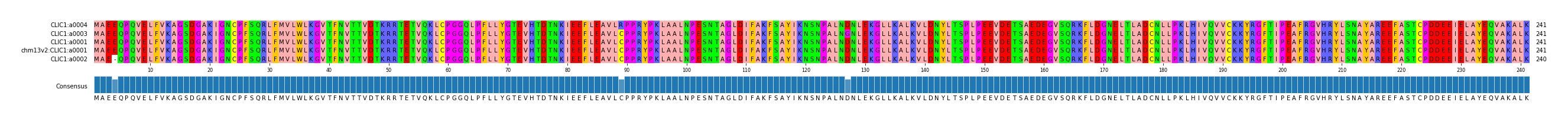 Multiple Alignments (by translate haplotype similarity)