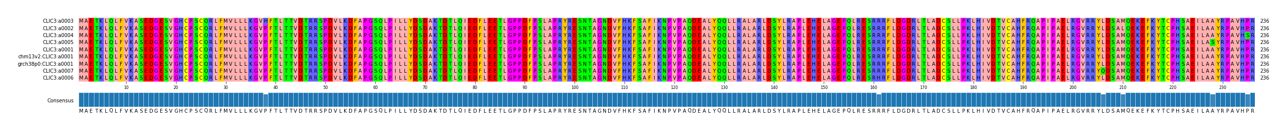 Multiple Alignments (by translate haplotype similarity)