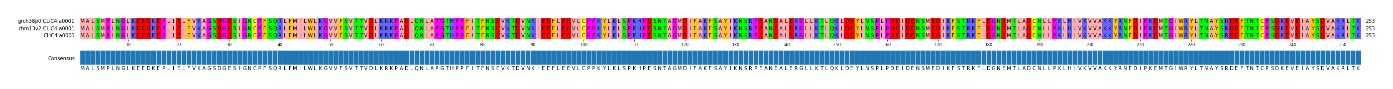Multiple Alignments (by translate haplotype similarity)
