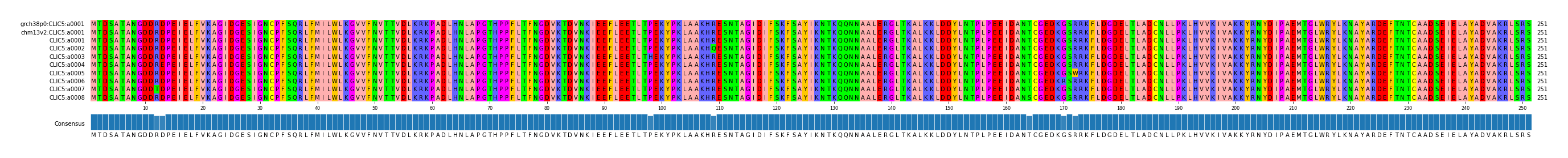 Multiple Alignments (by translate haplotype frequency)