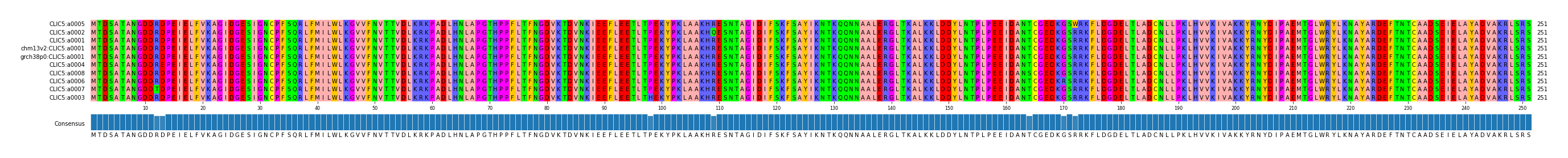Multiple Alignments (by translate haplotype similarity)