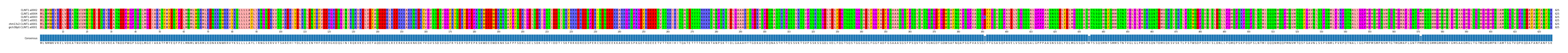 Multiple Alignments (by translate haplotype similarity)