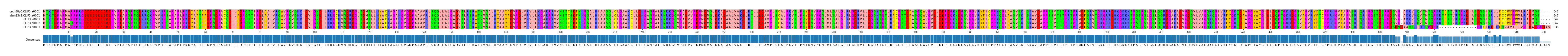 Multiple Alignments (by translate haplotype frequency)