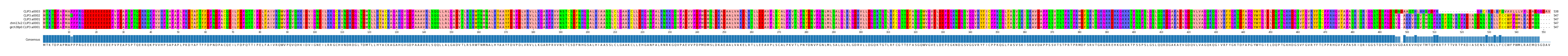 Multiple Alignments (by translate haplotype similarity)