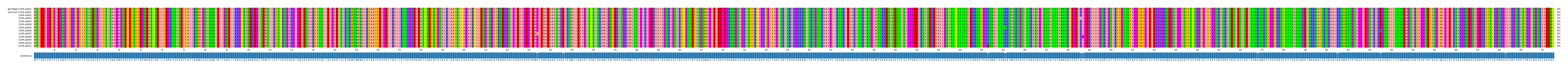 Multiple Alignments (by translate haplotype frequency)