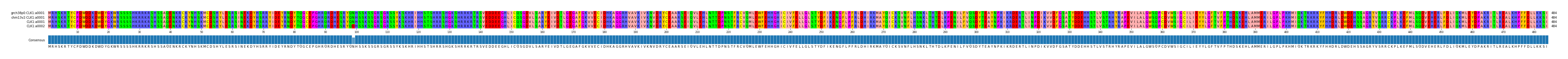 Multiple Alignments (by translate haplotype similarity)