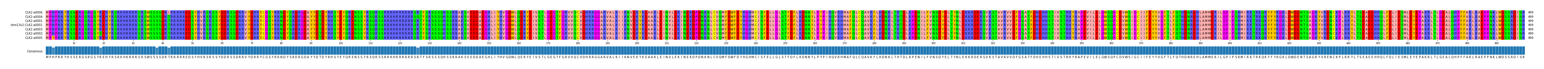 Multiple Alignments (by translate haplotype similarity)
