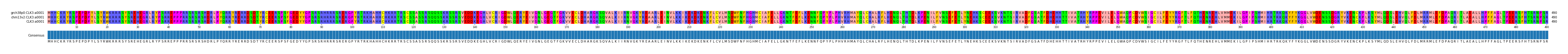 Multiple Alignments (by translate haplotype similarity)