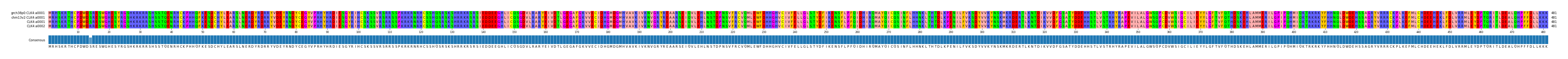 Multiple Alignments (by translate haplotype similarity)