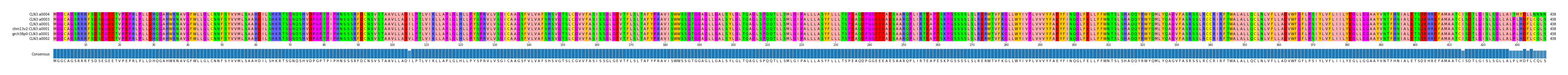 Multiple Alignments (by translate haplotype similarity)