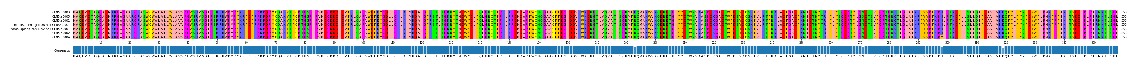 Multiple Alignments (by translate haplotype similarity)