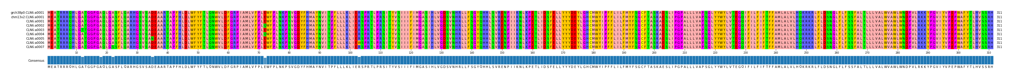 Multiple Alignments (by translate haplotype frequency)