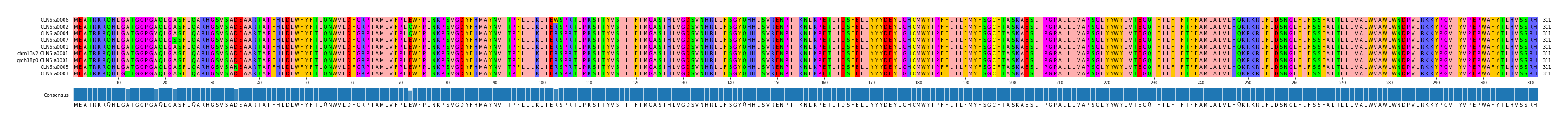 Multiple Alignments (by translate haplotype similarity)
