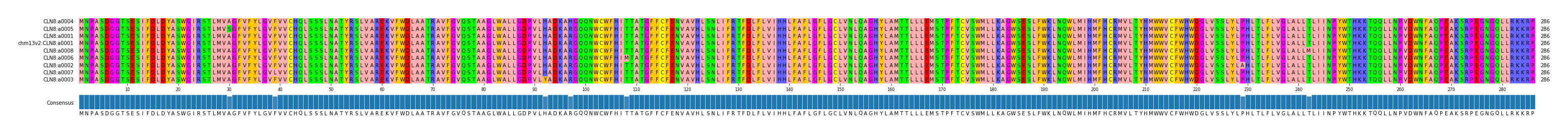 Multiple Alignments (by translate haplotype similarity)