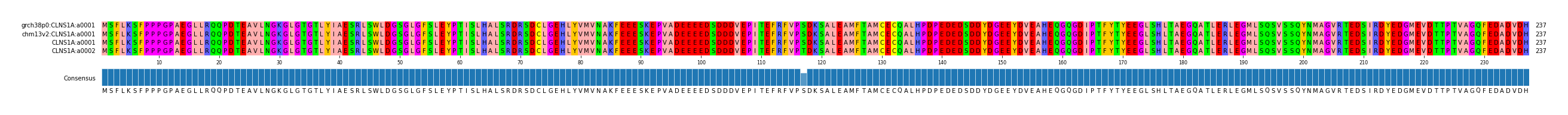Multiple Alignments (by translate haplotype similarity)