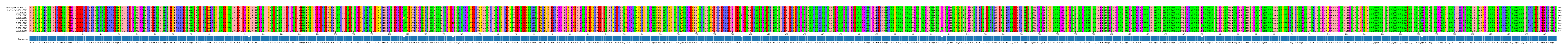 Multiple Alignments (by translate haplotype frequency)