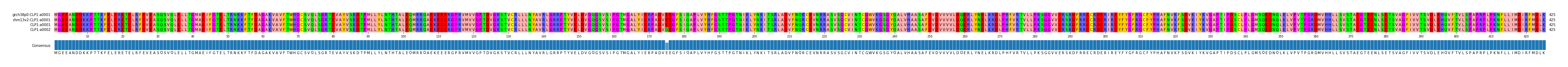 Multiple Alignments (by translate haplotype similarity)
