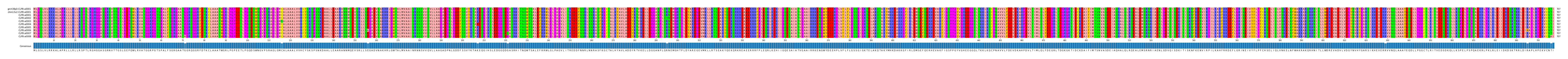 Multiple Alignments (by translate haplotype frequency)