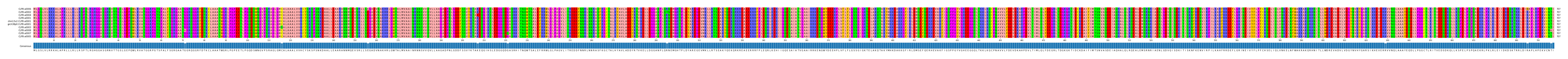 Multiple Alignments (by translate haplotype similarity)