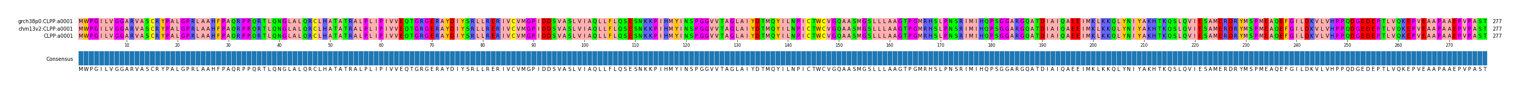 Multiple Alignments (by translate haplotype similarity)
