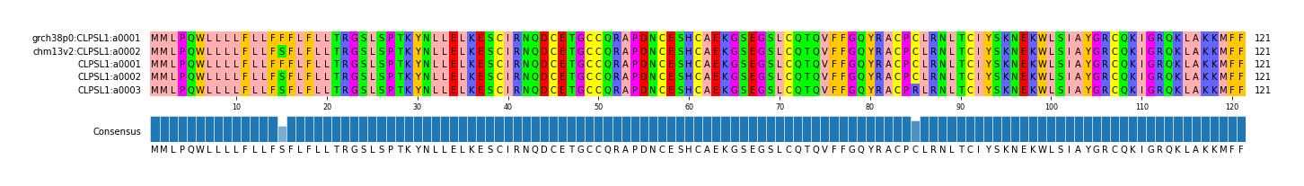 Multiple Alignments (by translate haplotype frequency)