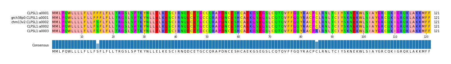 Multiple Alignments (by translate haplotype similarity)