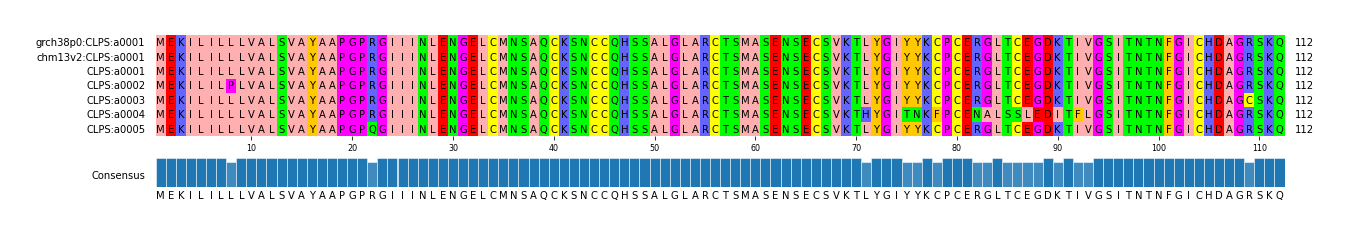 Multiple Alignments (by translate haplotype frequency)