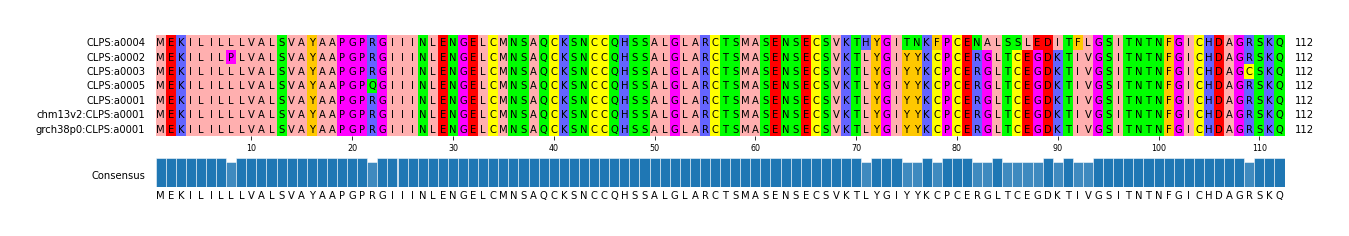 Multiple Alignments (by translate haplotype similarity)